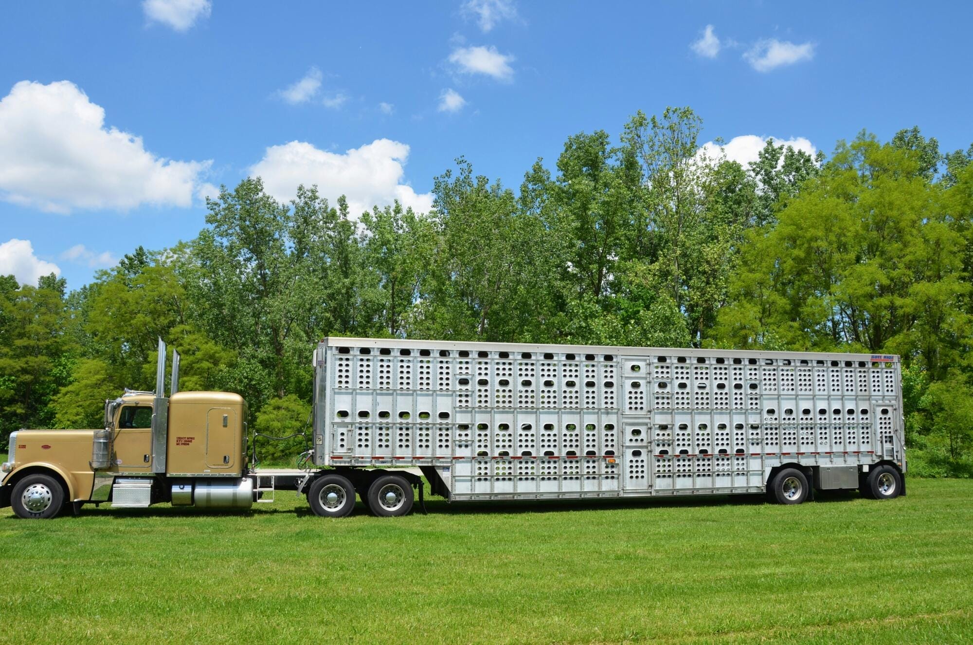 proper trailer weight distribution